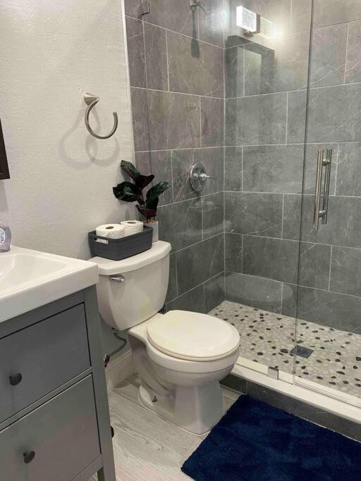 Charming 2-Beds Central Clearwater Apartment W/ Private Backyard מראה חיצוני תמונה